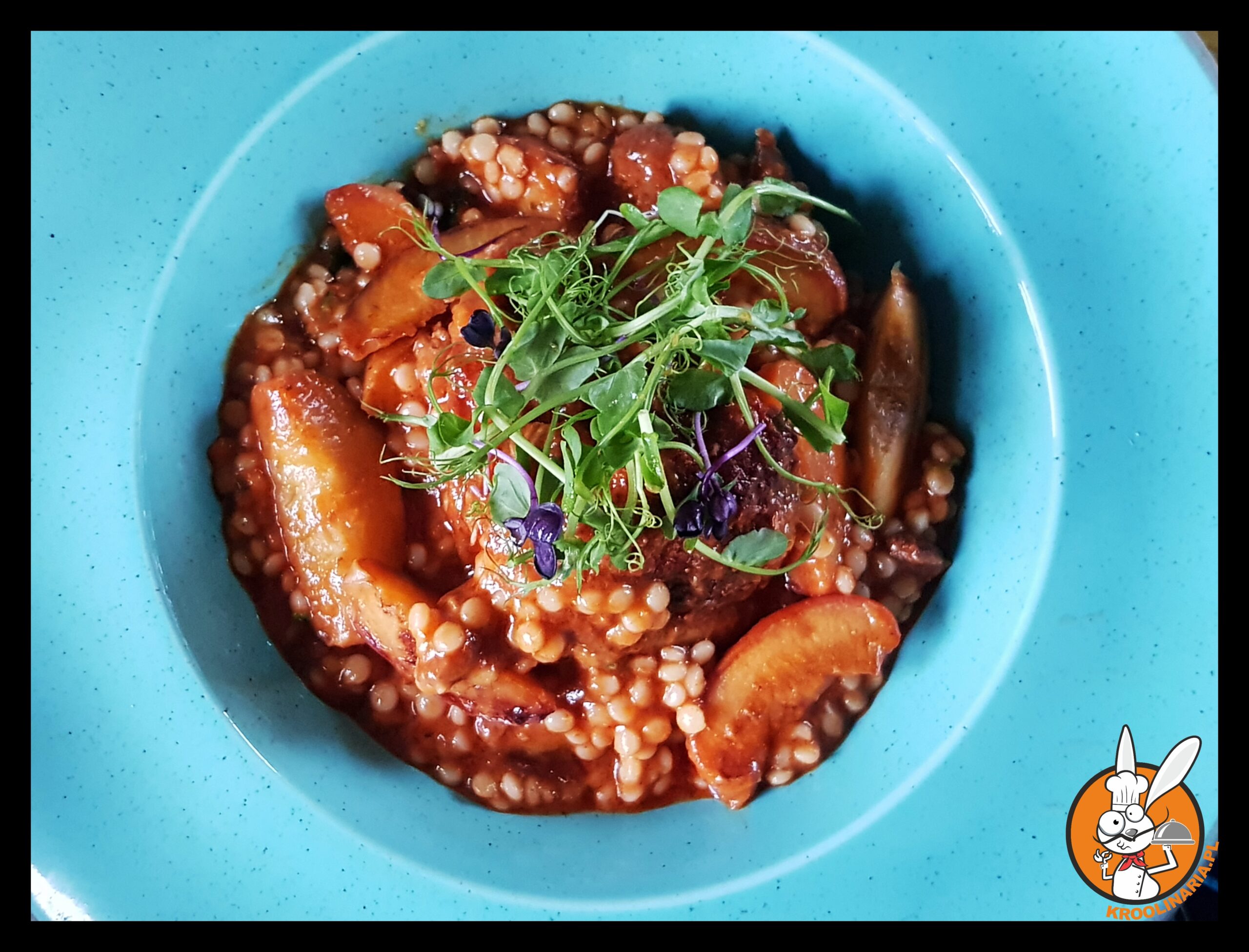 Podudzia w sosie brzoswkiniowym